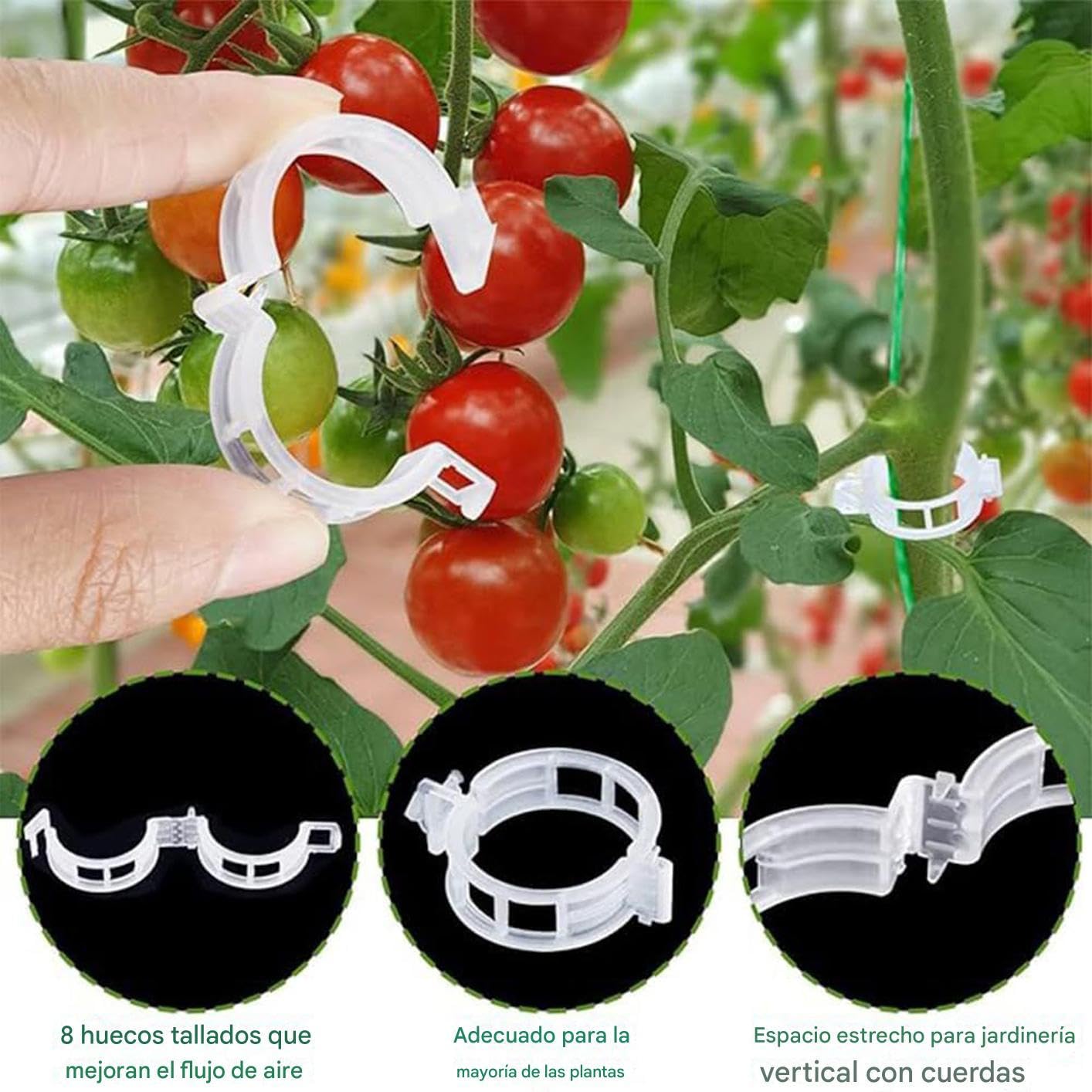 Gancio Da Pomodori con Corda e Clip Resistenti | 40 Pezzi Ganci da per Piante Rampicanti Per Cetrioli, Frutta, Colture, Interno Ed Esterno, Giardino, Fattoria, Patio, Serra