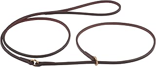 Alvalley Flat Integrated Slip Lead with Dog Collar - Durable Leather Dog Leash and Collar Set - Comfortable and Easy to Use - Great for Training, Walking, & Showing (Brown, 3 ft Lead with 22