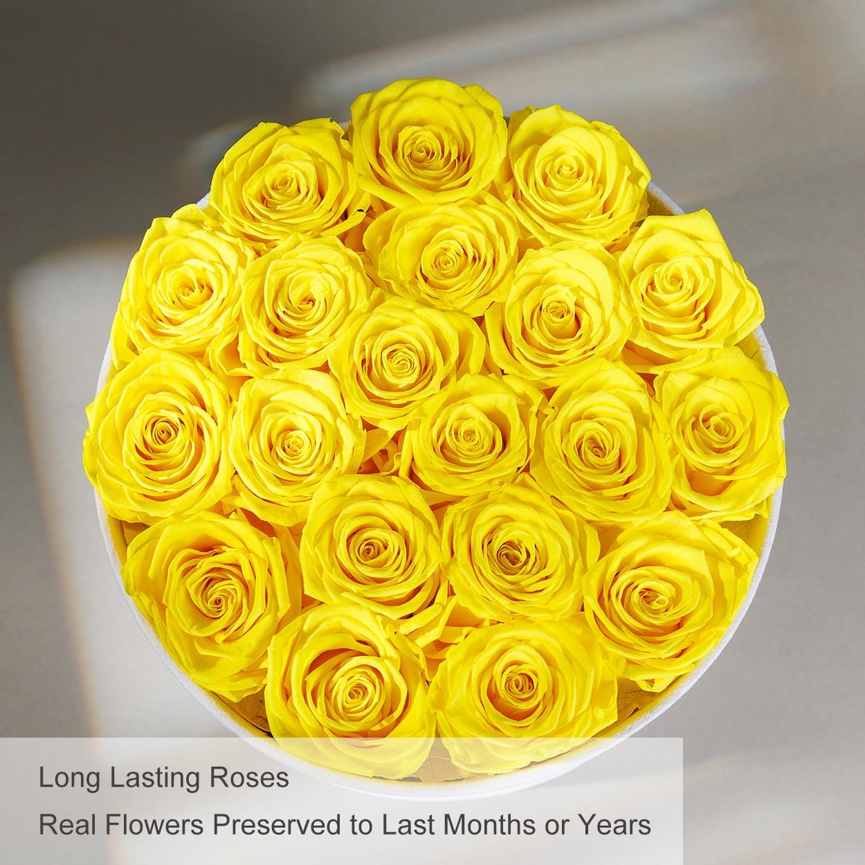 Gifts for Women Preserved Roses Flower Box, Luxury Velvet Box with 20 Roses, Preserved Flowers, Romantic Gift for Her, Wife, Girlfriend, Birthday Anniversary Christmas (Yellow)