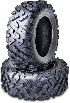 ROADGUIDER Set 2 ATV UTV Tires 25x10-12 25x10x12 6PR All Terrain 10394