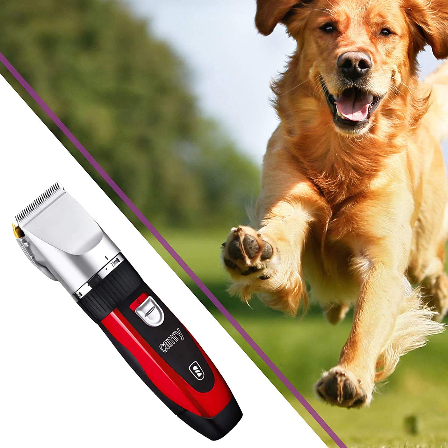 Premium Tagliacapelli elettrico a batteria per animali domestici – Cane, Gatto, Cavallo, Coniglio, ecc. – Macchina professionale per tagliare peli di animali + accessori senza fili
