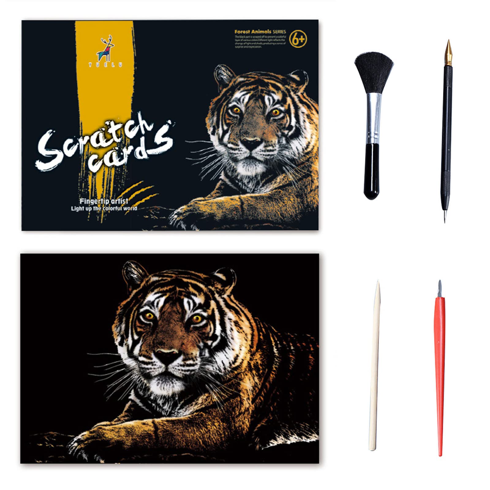 Amazon.co.jp: 動物のスクラッチアート絵画紙、大人と子供のため