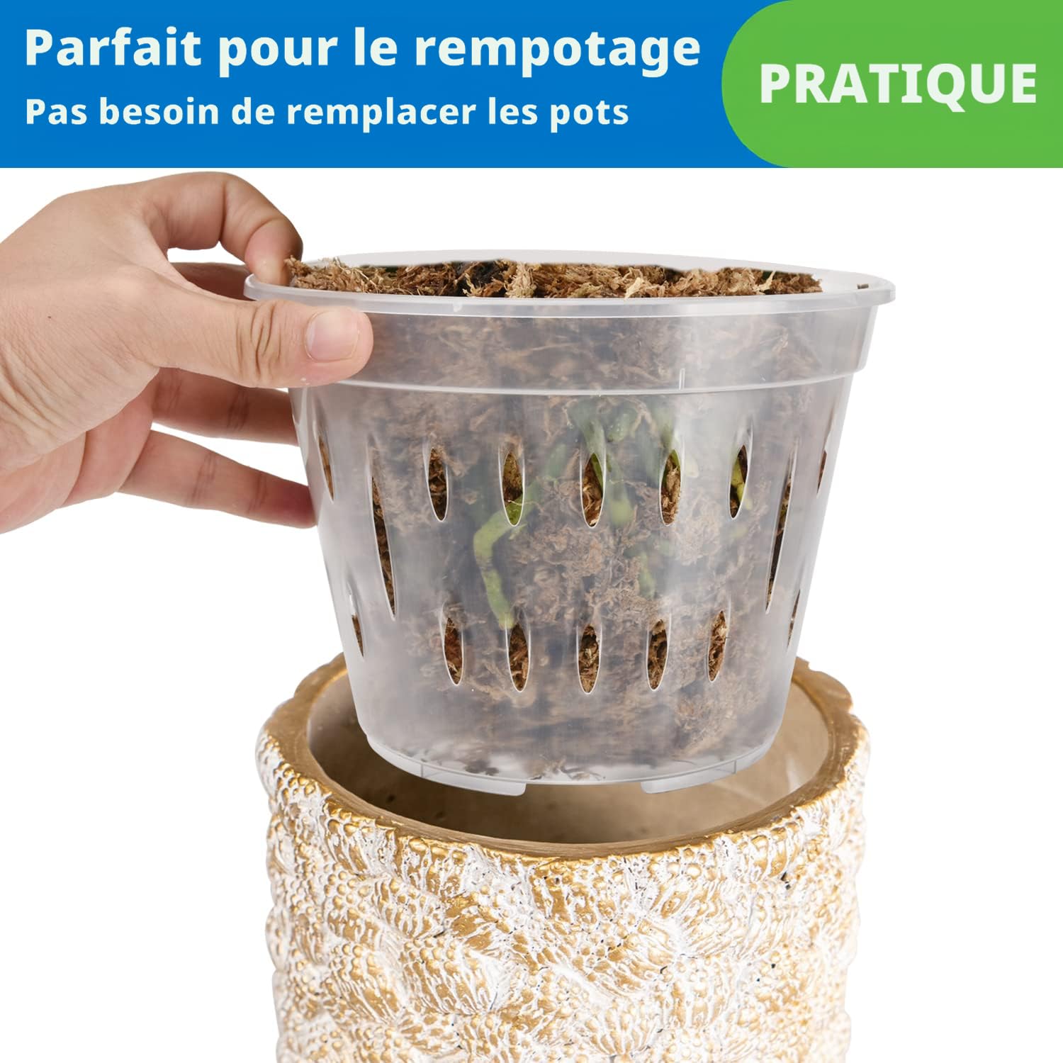 TOYANDONA Lot De 2 Pots à Orchidées Hauts En Plastique Avec