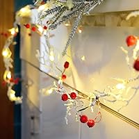 Vista 3 de Guirnalda de luces esmeriladas de nieve y bayas rojas de 6.5 pies y 25 luces LED, delicada guirnalda de Navidad con luces, funciona