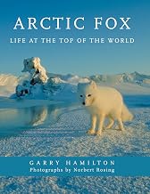Arctic Fox: Life at the Top of the World