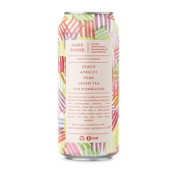 Kombucha Hard Seasonal, 16 Fl Oz Single Can 2