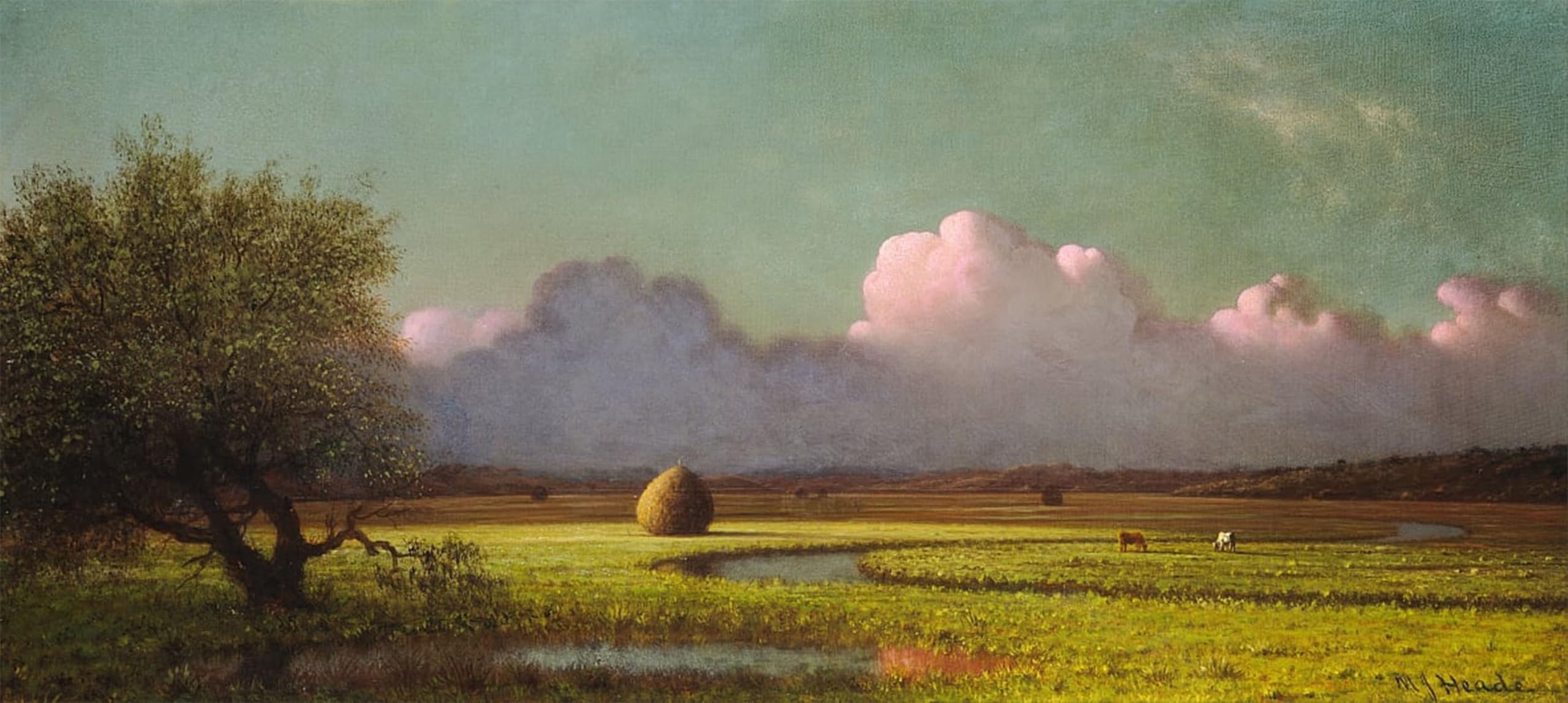 ARTXLXXBN Famous Painting Canvas Artwork Graffiti Print Sunlight and Shadow the Newbury Marshes by Martins Johnson Heade Portrait Canvas Image for Home Decor 60x90cm