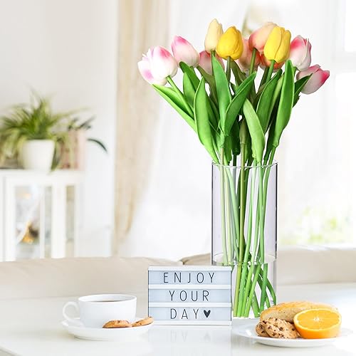 Miniatura 3 de 24 jarrones de vidrio de 8 pulgadas de alto a granel, cilíndrico transparente, portavelas transparentes, jarrones cilíndricos de vidrio, jarrones