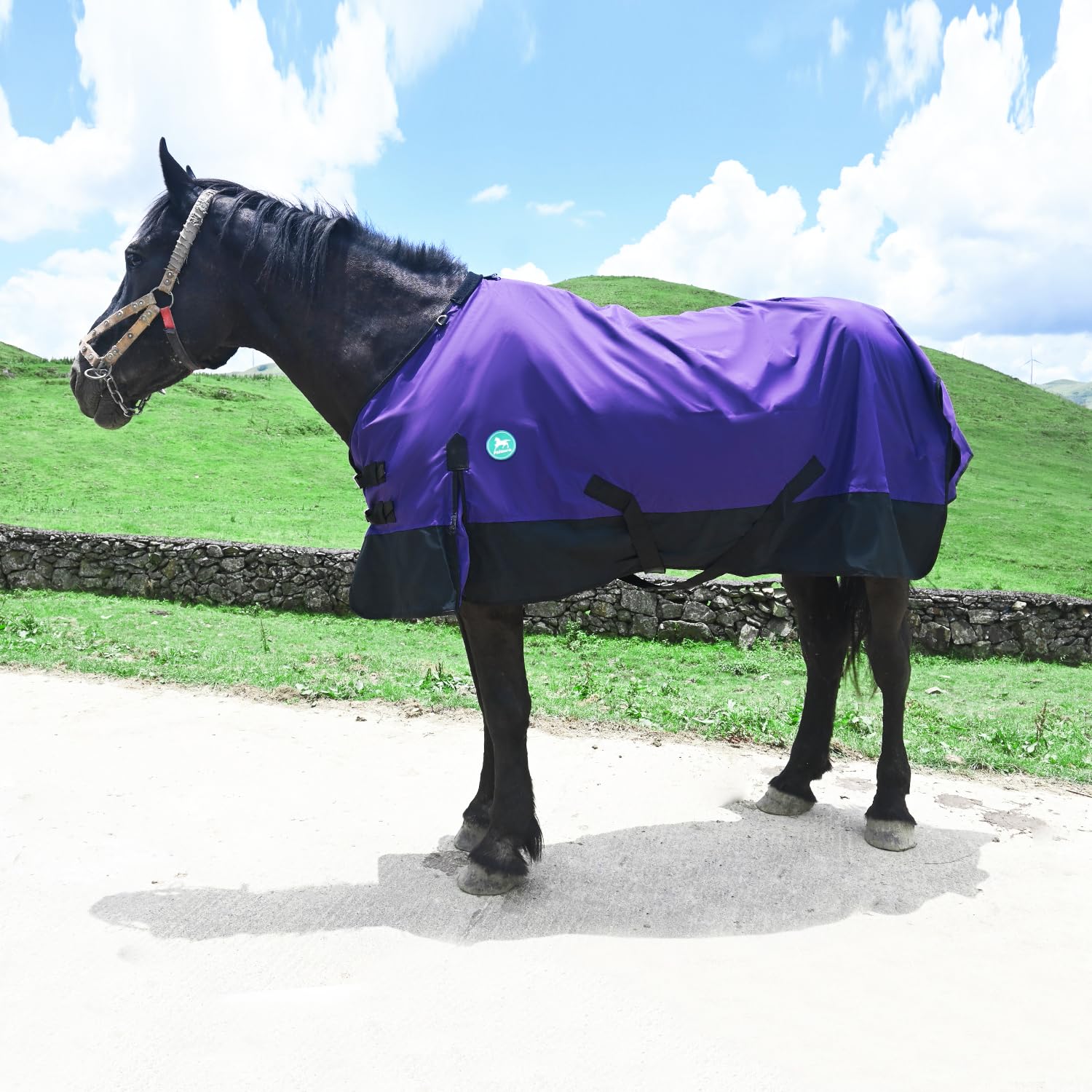 Adjustable Waterproof and Breathable Horse Sheet | Horse Blankets for Real Horses|Perfect Rainy Day Protection(66