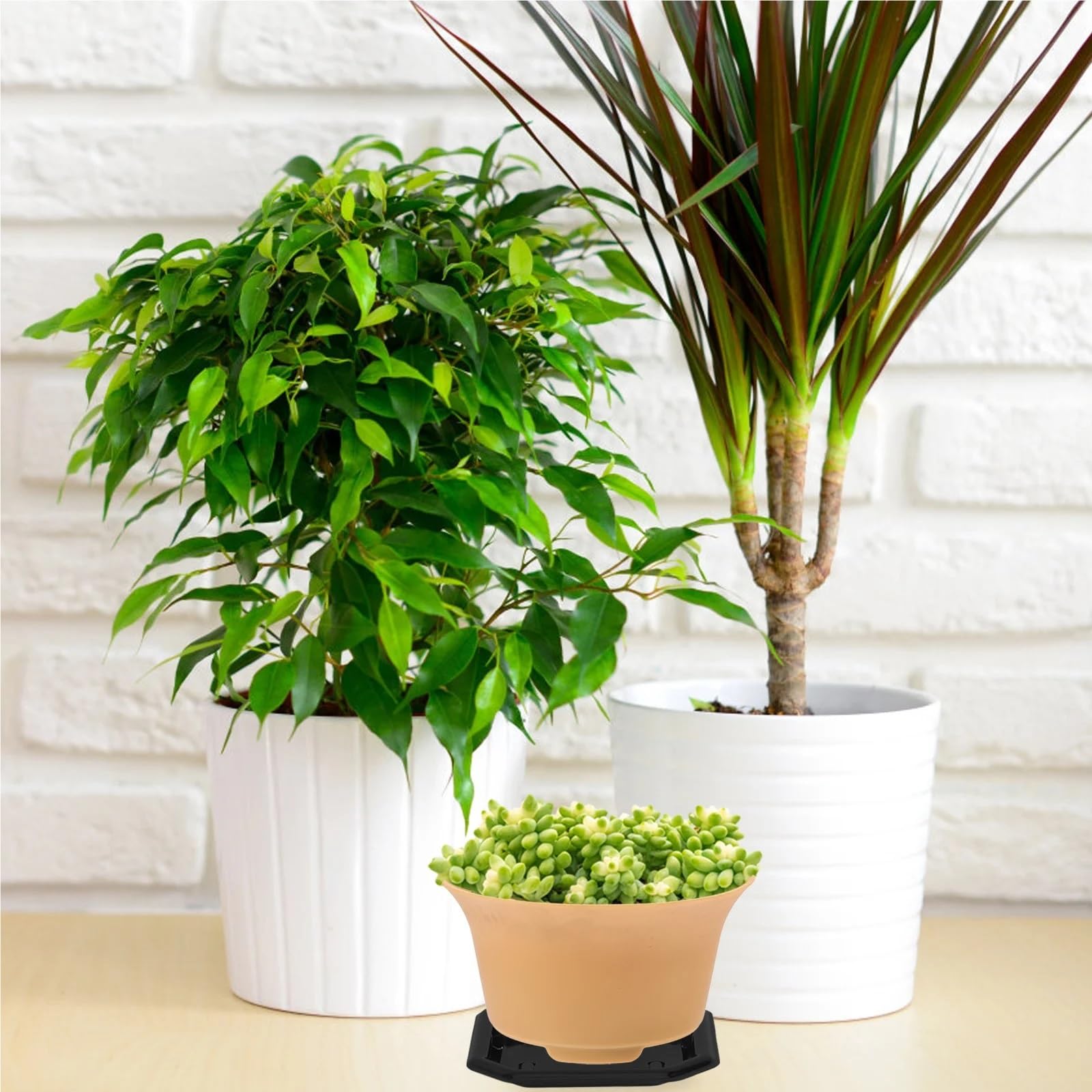 Kunststoff-Pflanzen-Untersetzer, quadratisch, strapazierfähig, Kunststoff, Sukkulententententöpfe, wasserdicht, Bonsai-Topf, Tropfen, für drinnen und draußen, Schwarz, 100 Stück