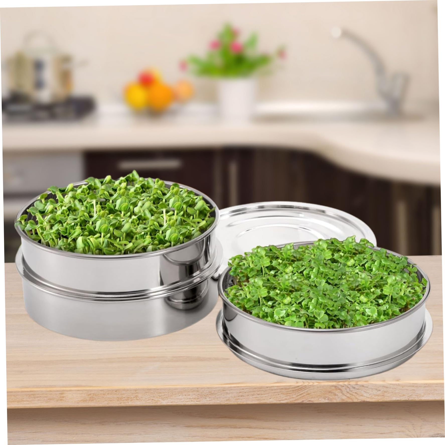 Bandejas de germinación Kit de germinación de Semillas apilables de Acero Inoxidable Bandejas de Cultivo de microgreens de Malla de 2 Niveles con Base y Tapa Jardín Interior