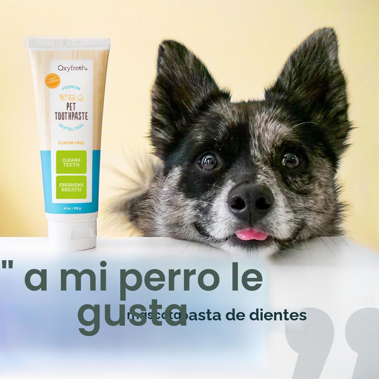 Oxyfresh Pet Gel Gel dental para animales 113g