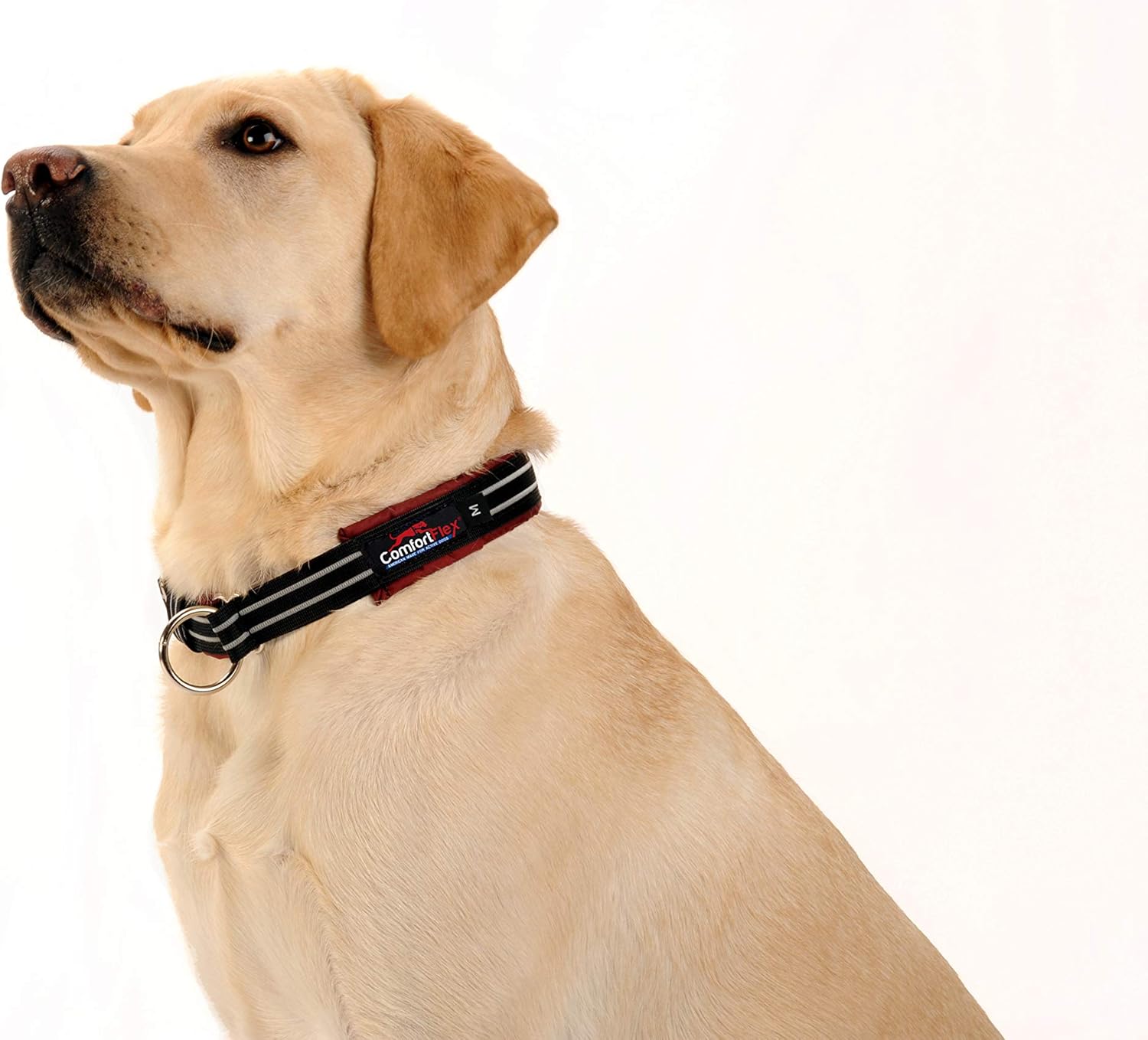ComfortFlex Premium Padded Martingale Dog Collar – Reflective Waterproof Slip-On Limited Slip Collar for Gentle Control & Escape Prevention - Small, Raven Black