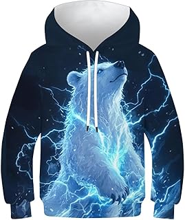Fox Dibujos Animados Sudadera con Capucha Unisex para Niños 3D Divertido Hoodie Sudadera Capucha De Manga Larga Manga Larga, con Bolsillos