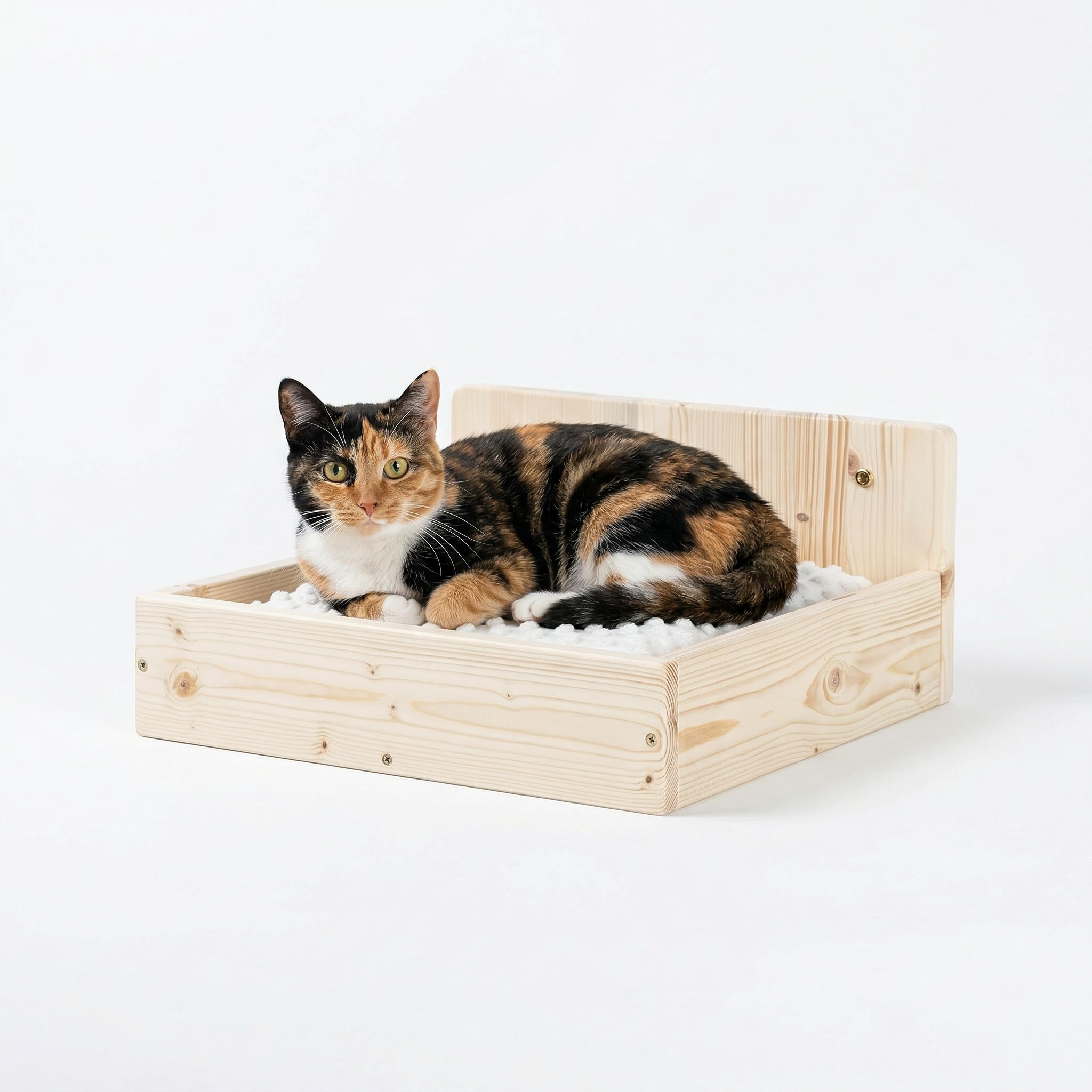 Mensola Cuccia per Gatti 40×40 cm in Legno d’Abete PEFC Fatta a Mano, con Cuscino Beige Lavabile, Mensola Gatto Perfetta per Dormire, Giocare e Arrampicarsi, fino a 20 kg, Percorsipergatti