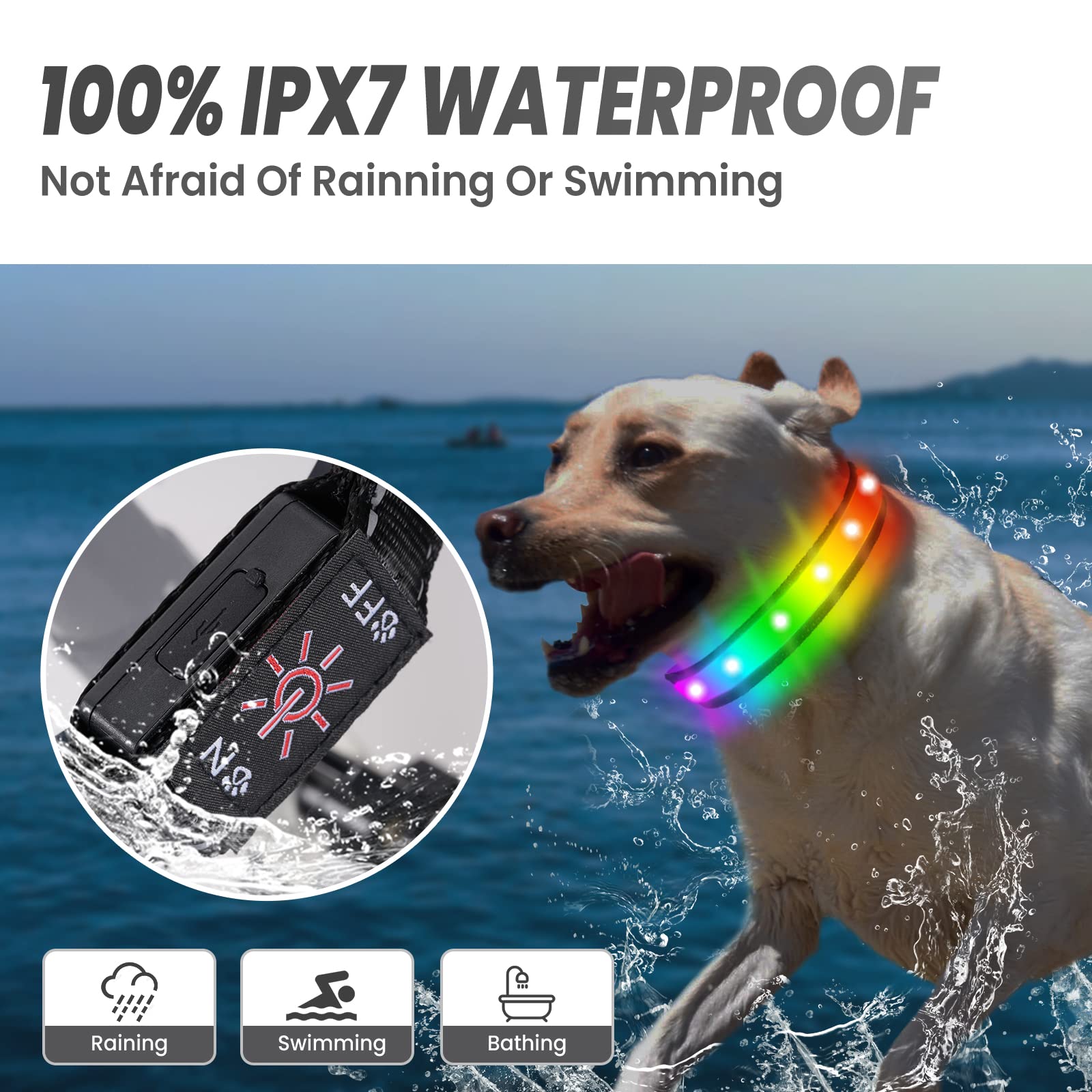 Is It Okay To Bathe Dogs At Night