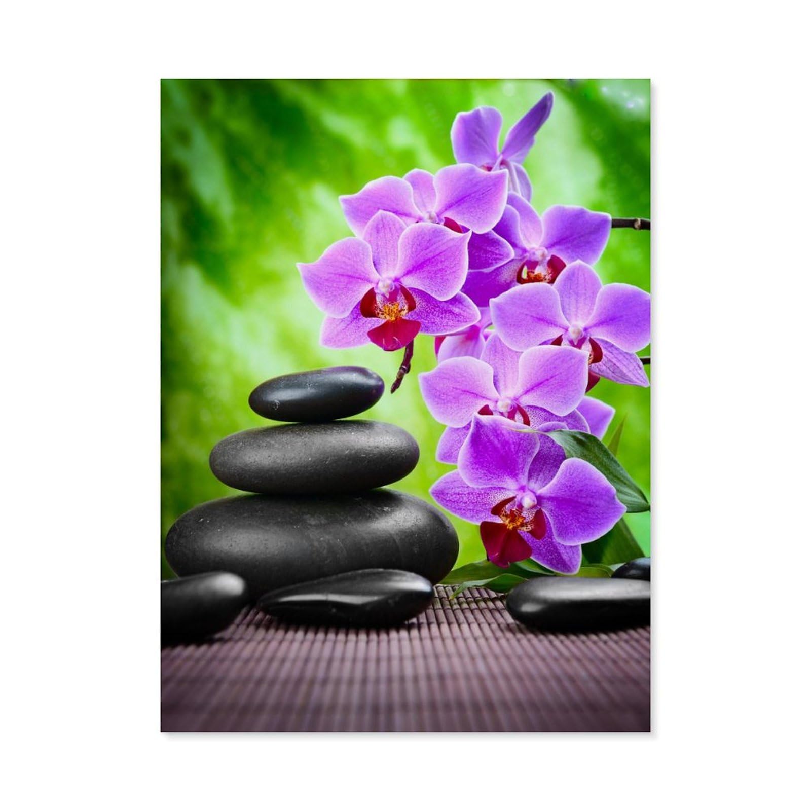 Paint by Numbers for Adults，Orchid and Stone，DIY Paint by Numbers Kits for Adults Kids on Canvas with Brushes and Acrylic Pigment Oil Painting Kits Home Decor Gift(50x60cm) 19.6x23.6 inches-D17