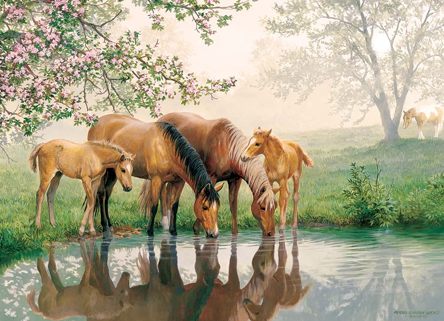 Amazon.com: Cobble Hill Family Piece's 350 Puzzle - Horse Family