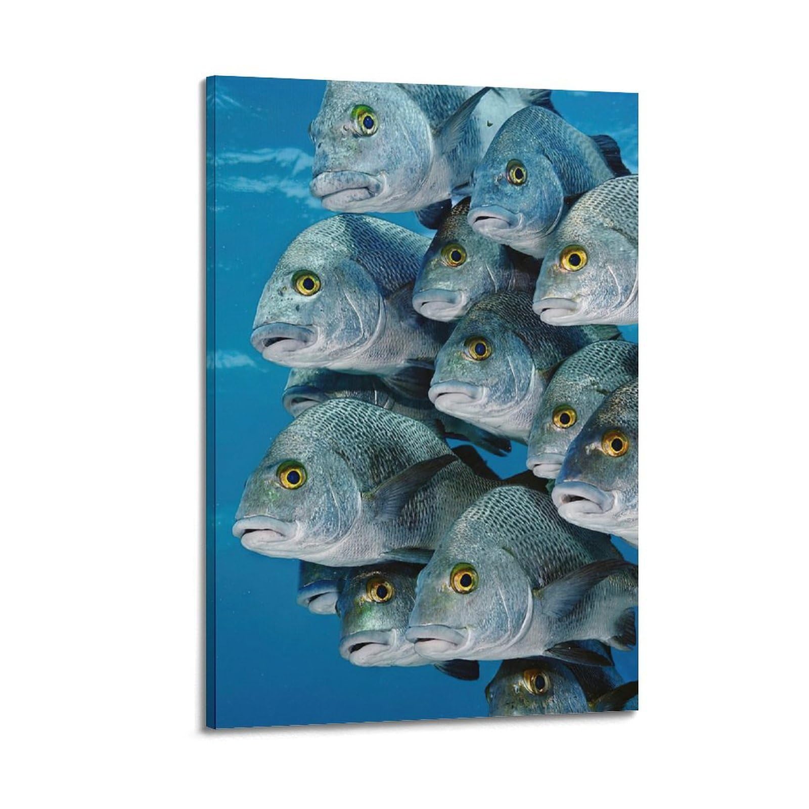 WPHSFX Animal Poster Fish Swarm Poster Decorative Painting Canvas Wall Posters And Art Picture Print Modern Family Bedroom Decor Posters 20x30inch(50x75cm)