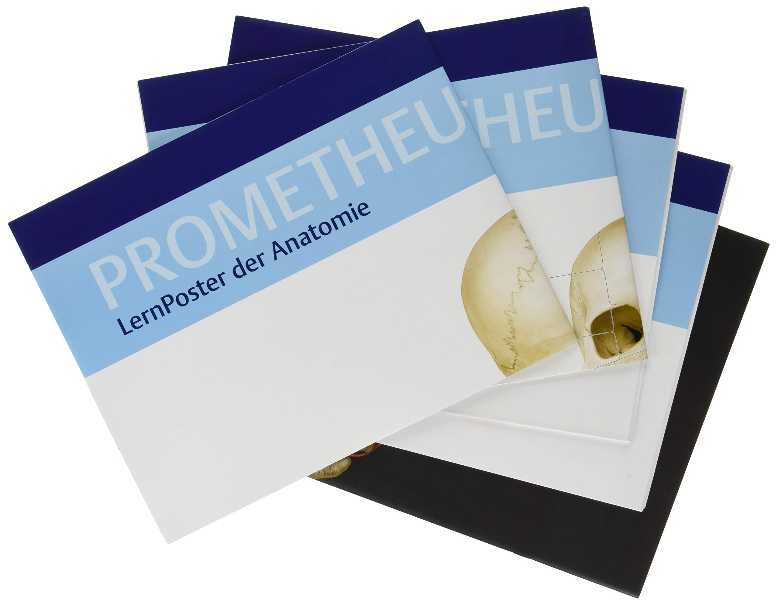 PROMETHEUS LernPaket Anatomie: LernAtlas Anatomie