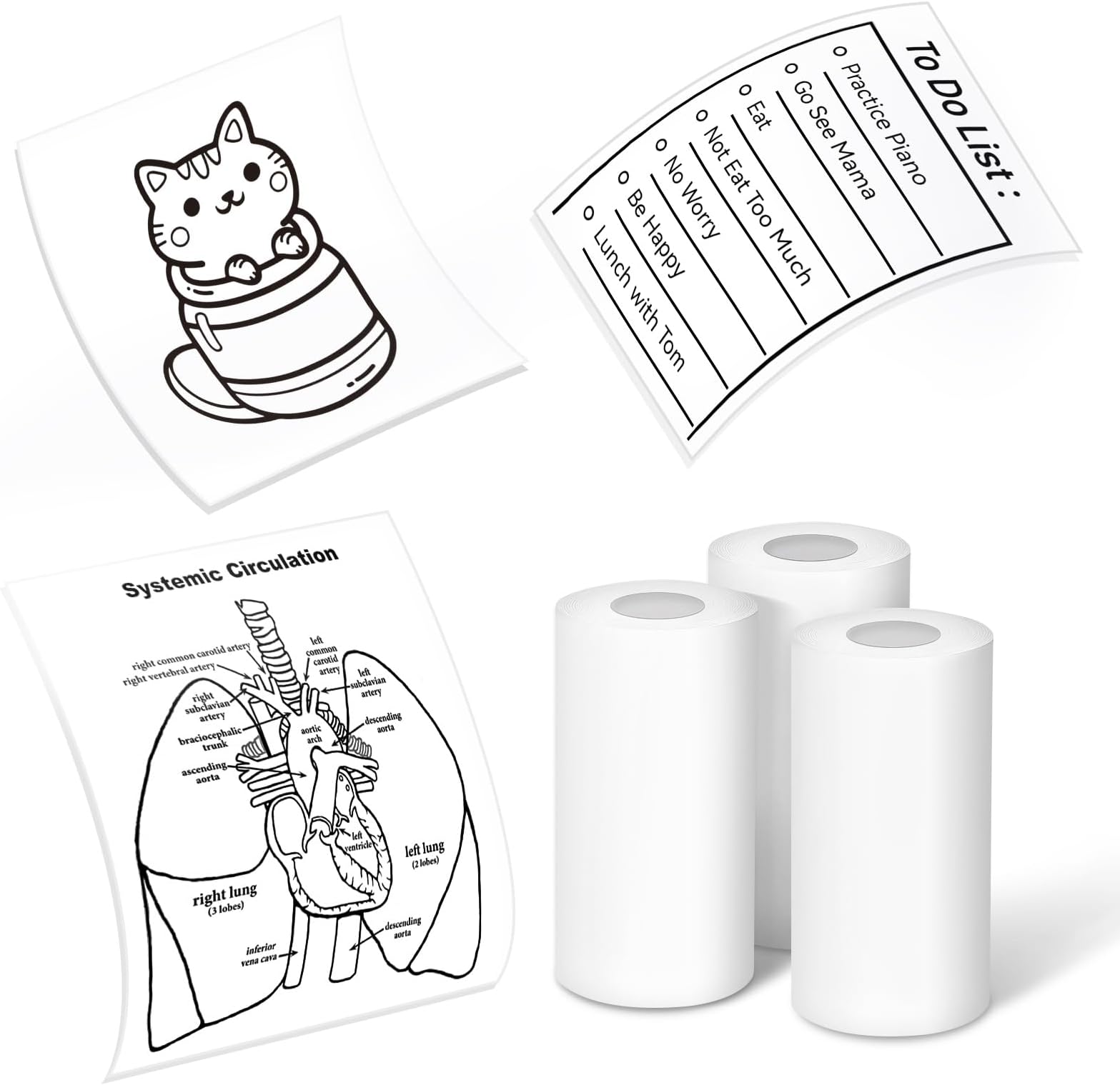 3 Rolls Mini Sticker Printer Thermal Paper-10-Year 50mm x 3.5m for Journal Photo Texts Study Notes, Compatible with Memoking, Memoqueen, Phomemo T02 Pocket Printer for Home Office School Organization