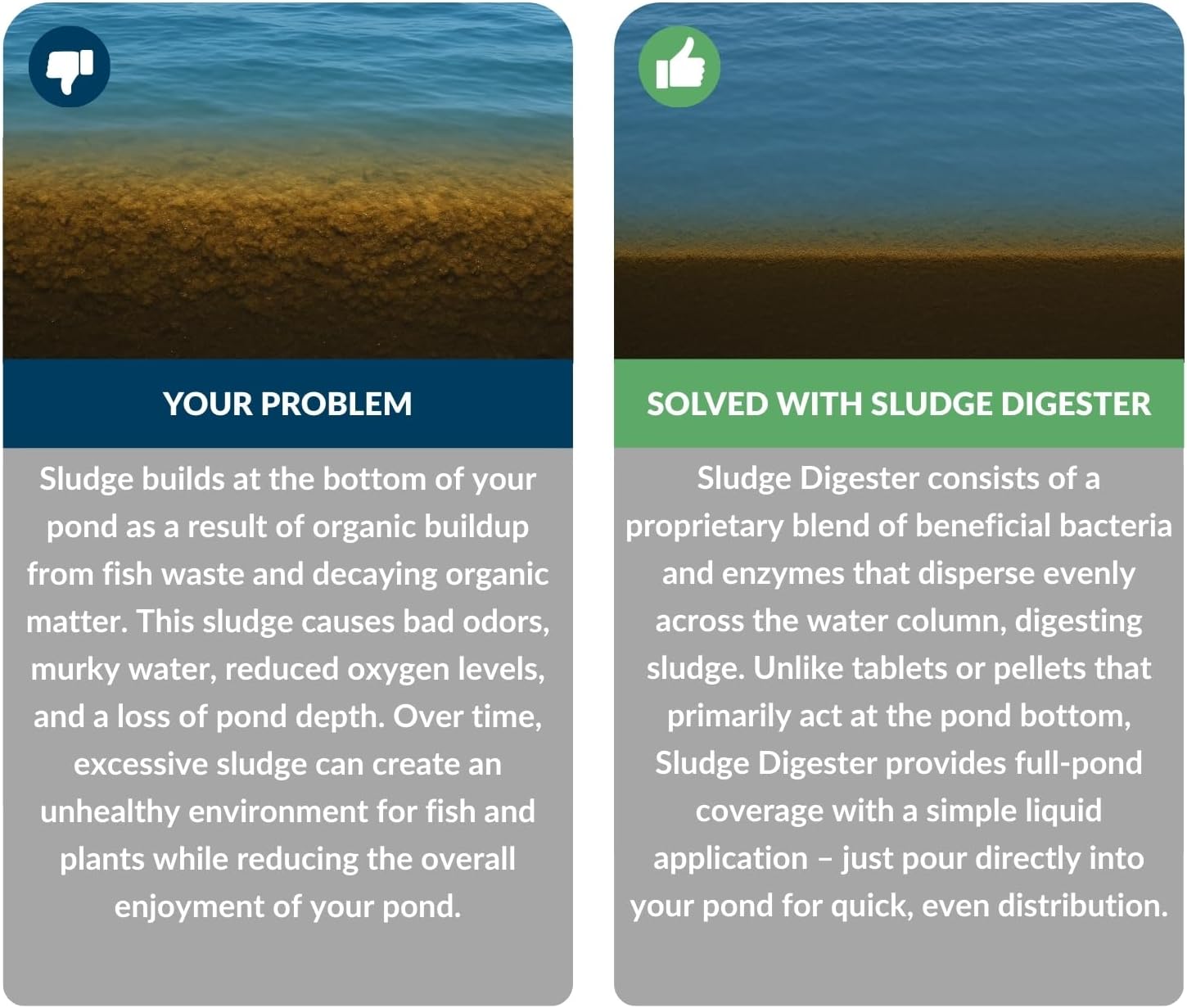 Sludge Digester (1 Gal) - Liquid Pond Muck & Sludge Remover - Treats up to 128,000 Gallons - Beneficial Bacteria & Enzyme Formula – Safe for Koi, Fish, Pets & Wildlife - 30+ Years Trusted