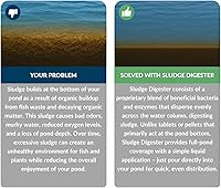 Vista 2 de Ultra Clear Digestor de lodos, 12 oz