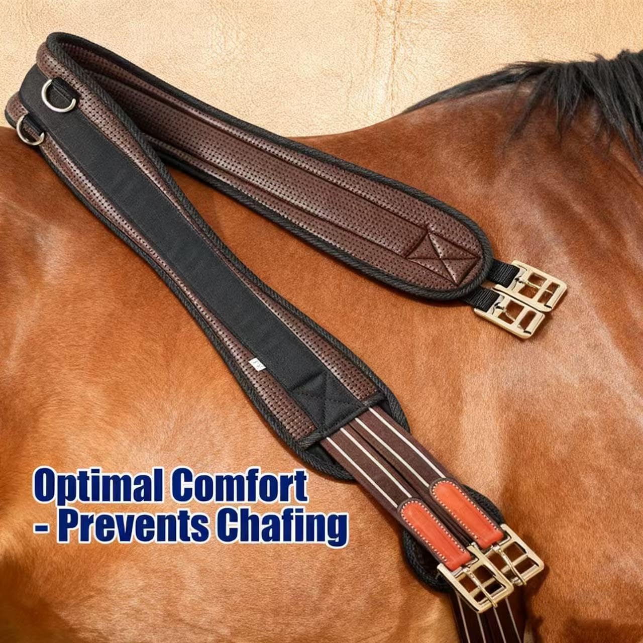 English Riding Non-Slip Long Girth | Contoured Chafeless | Airflow Waffle PVC Foam | Heavy-Duty Double-Side Cotton Elastic + Rust-Resistant Stainless Steel Buckles (35"-51")
