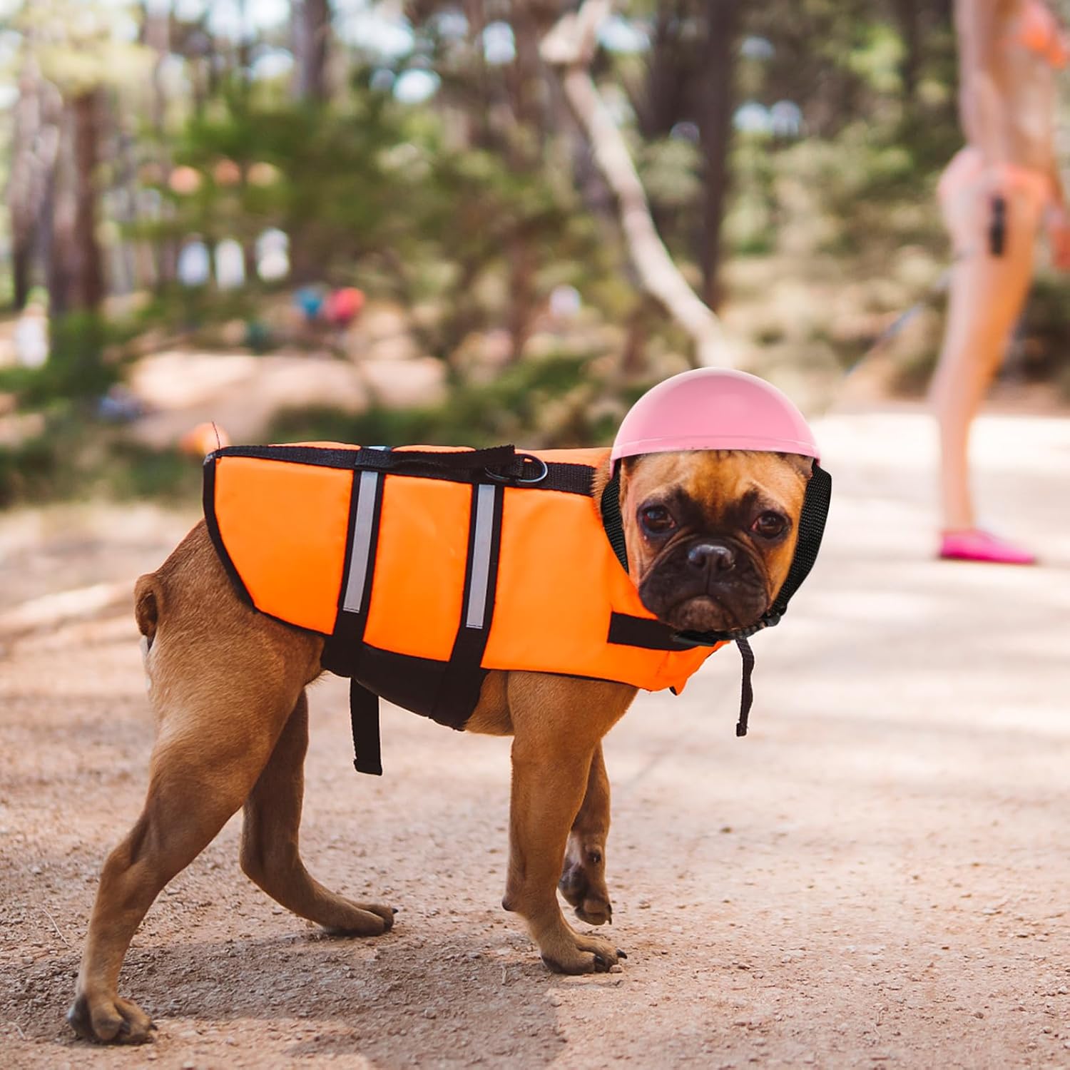 Dog Helmet - Dog Pet Safety Helmet Hard Hat Cat with Adjustable Belt Sunproof Rainproof gie Hardhat s for Small s