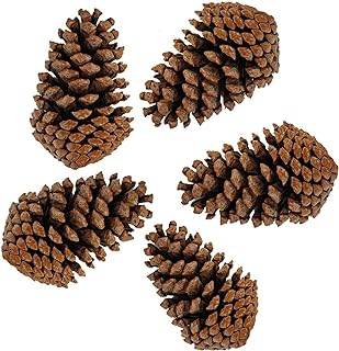 PineCones Tall Bulk Package All Natural,Real Preserved Pine Cones Big Pi...
