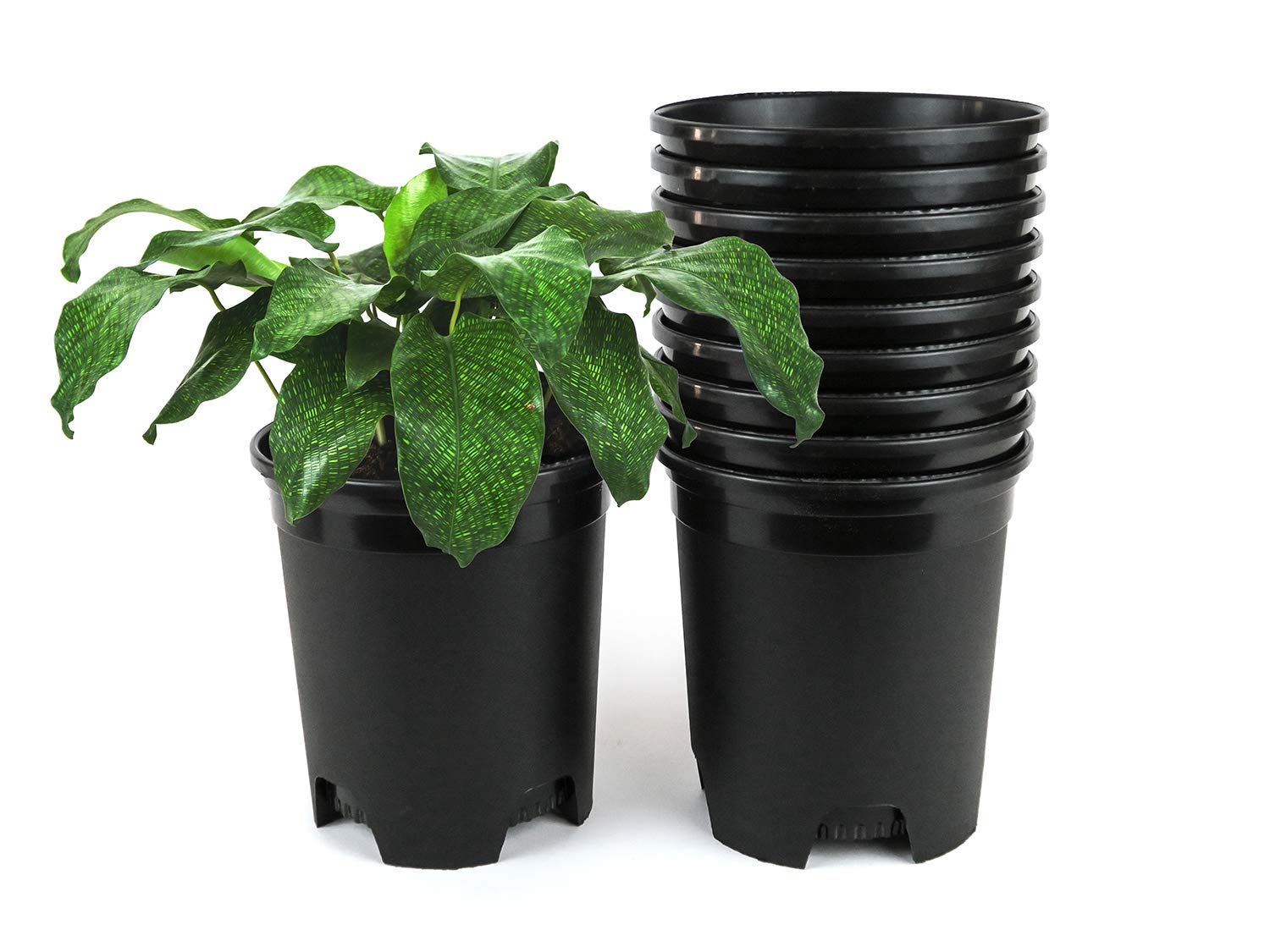 Cotta Planters 30-Pack 1 Gallon Nursery Pots