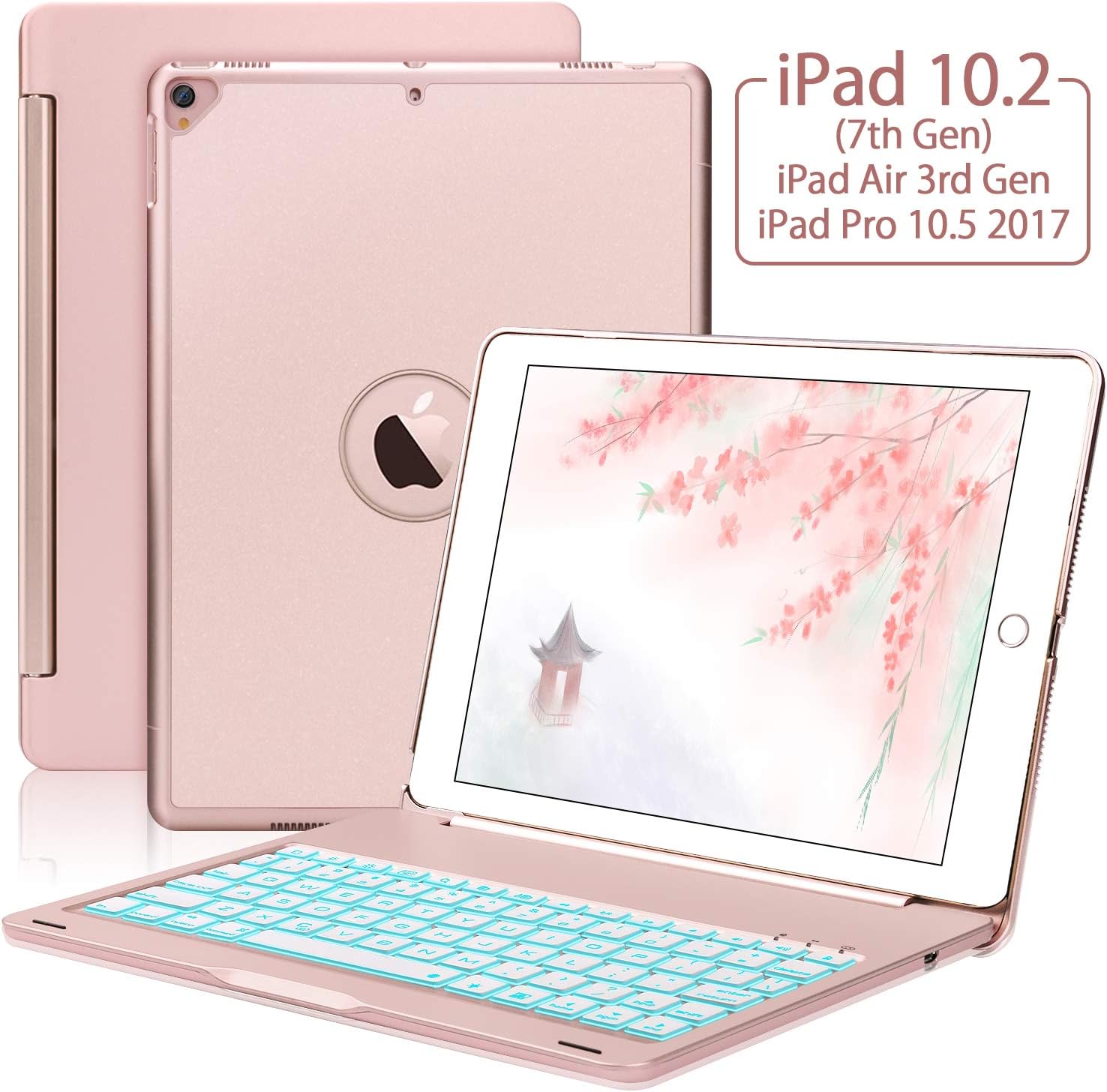 casi ipad boriyuan