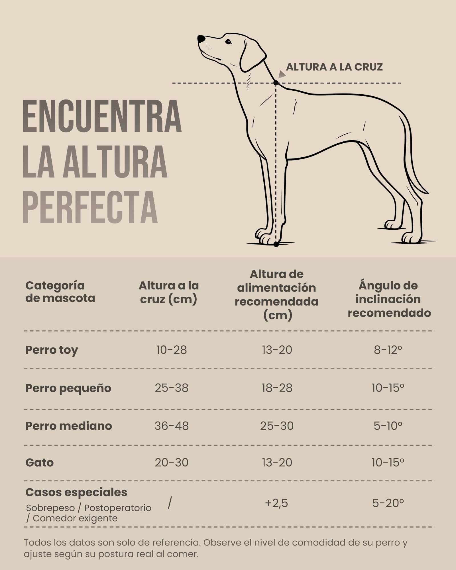 kittyspout Comedero Elevado para Perros con Altura e inclinación Ajustables | Soporte de madera FSC clase E0, 2 cuencos de acero inoxidable aptos para lavavajillas, base antideslizante