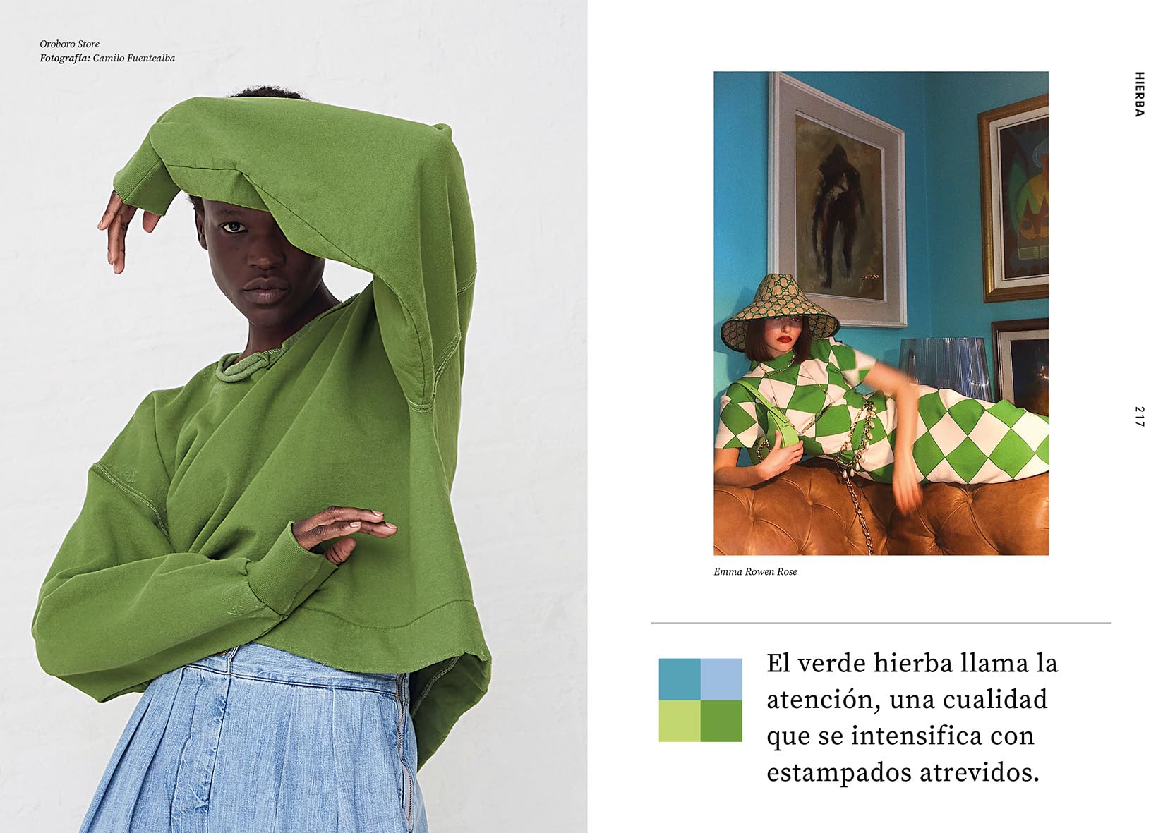 LAS PALETAS DE LA MODA Un diccionario inspirador para comprender qué transmiten los colores (-LIBRE)