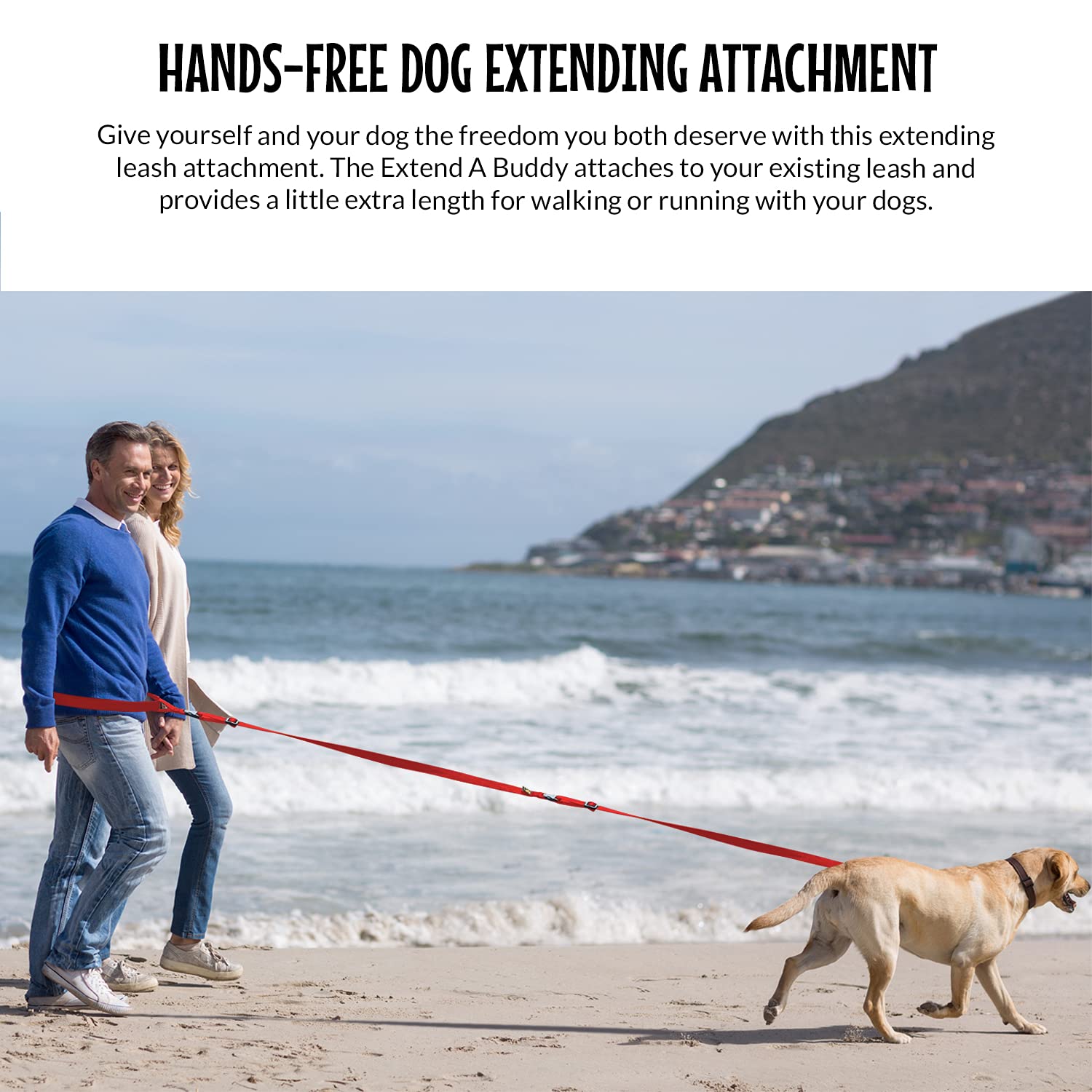 The Buddy System Verlängern Sie ein Buddy Hundeleinen-Zubehör – machen Sie Ihre Leine länger zum Gehen, Laufen, Training und Wandern mit Ihrem Hund – Verlängern Sie das Zubehör 45,7 cm – 76,2 cm –