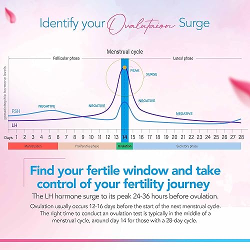 Vista 3 de Clinical Guard Paquete de 20 tiras reactivas de ovulación, medición precisa en 5 minutos, prueba de ovulación, prueba de fertilidad rentable