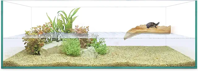Terrario Acuario ICA AAS60 con Isla Solarium y Tapa de Cristal - 60x30x20 cm