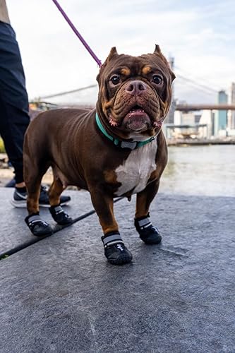Miniatura 6 de 4Legs Botas de perro para exteriores y correr en el parque sin cordones impermeables con suela de goma ligera antideslizante resistente