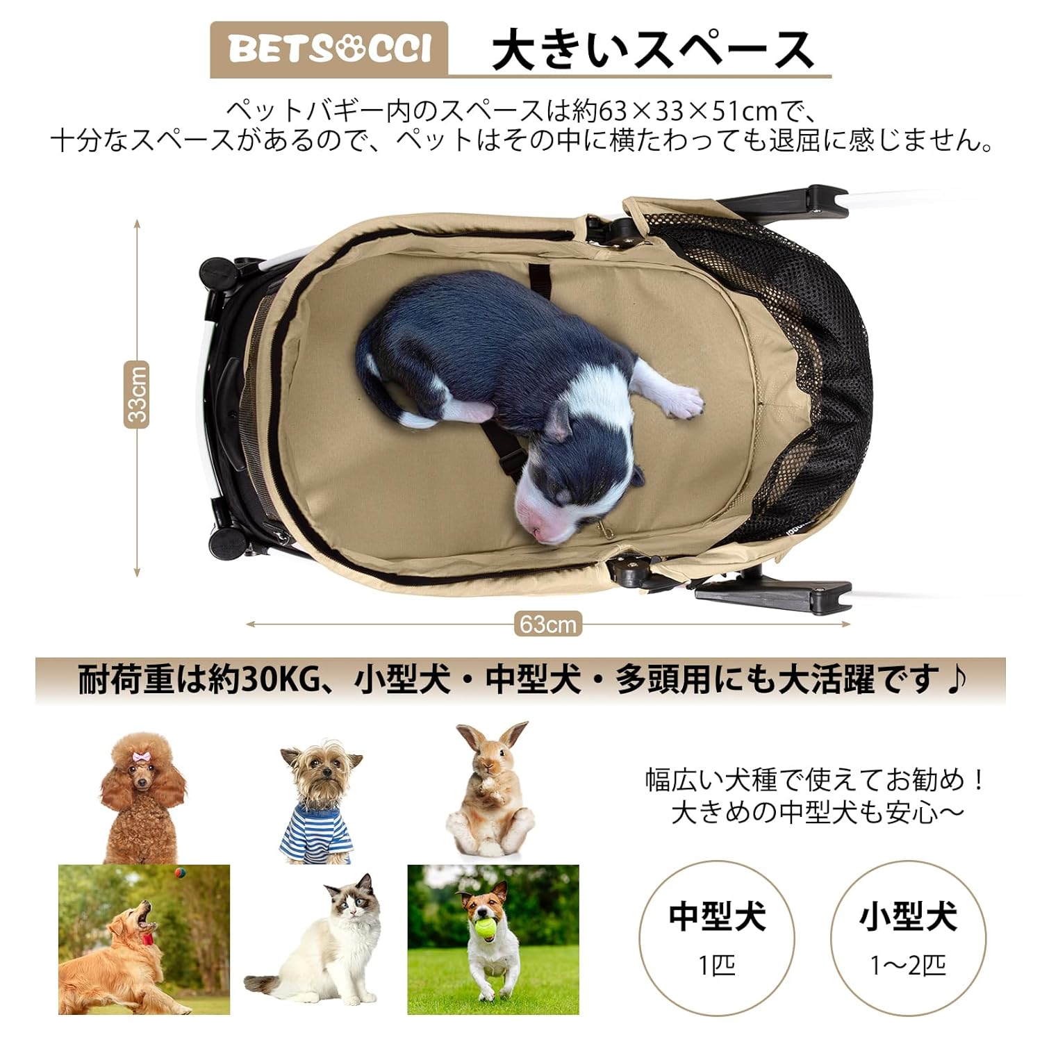 https://m.media-amazon.com/images/I/71mmslkWqXL._SL1500_.jpg