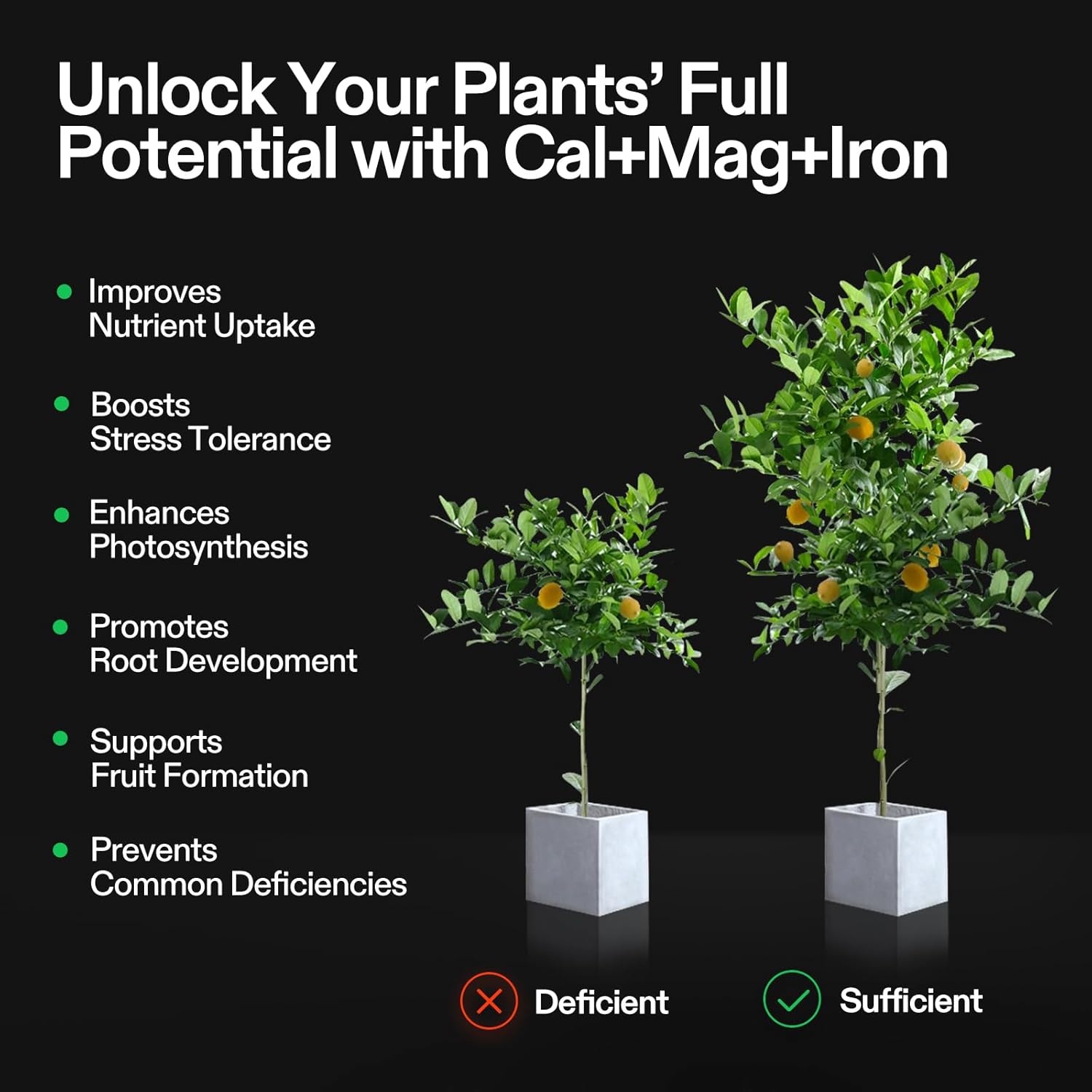 VIVOSUN Plant Food Nutrients Base A(4-0-1) & B(1-4-2) Bundle and Cal+Mag+Iron (2-0-0), Calcium, Magnesium & Iron Supplement, Liquid Nutrient Fertilizer for All Plants, Concentrated Plant Food for Soil