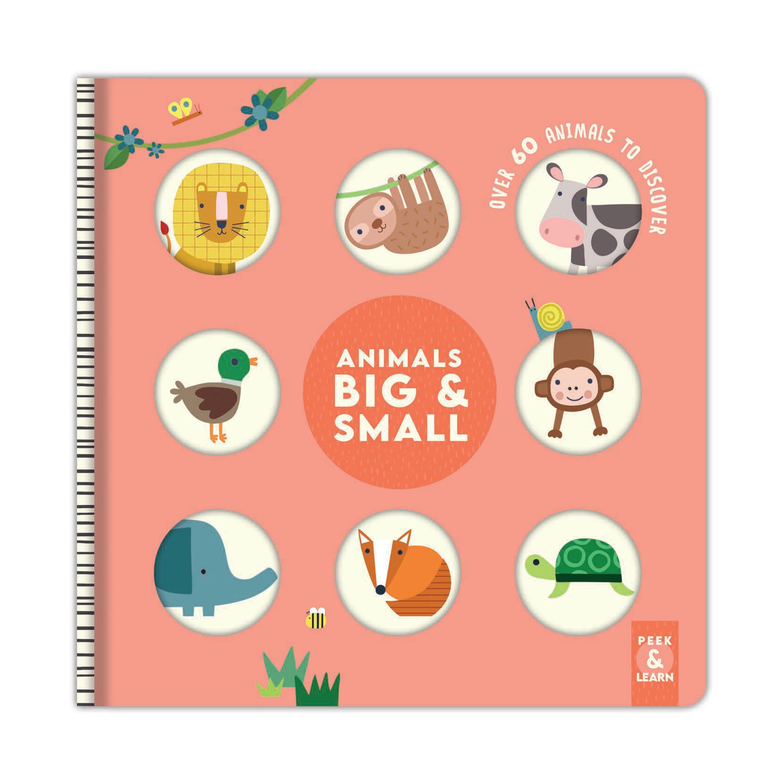 Animals Big & Small by Rebecca Weerasekera (Board book)