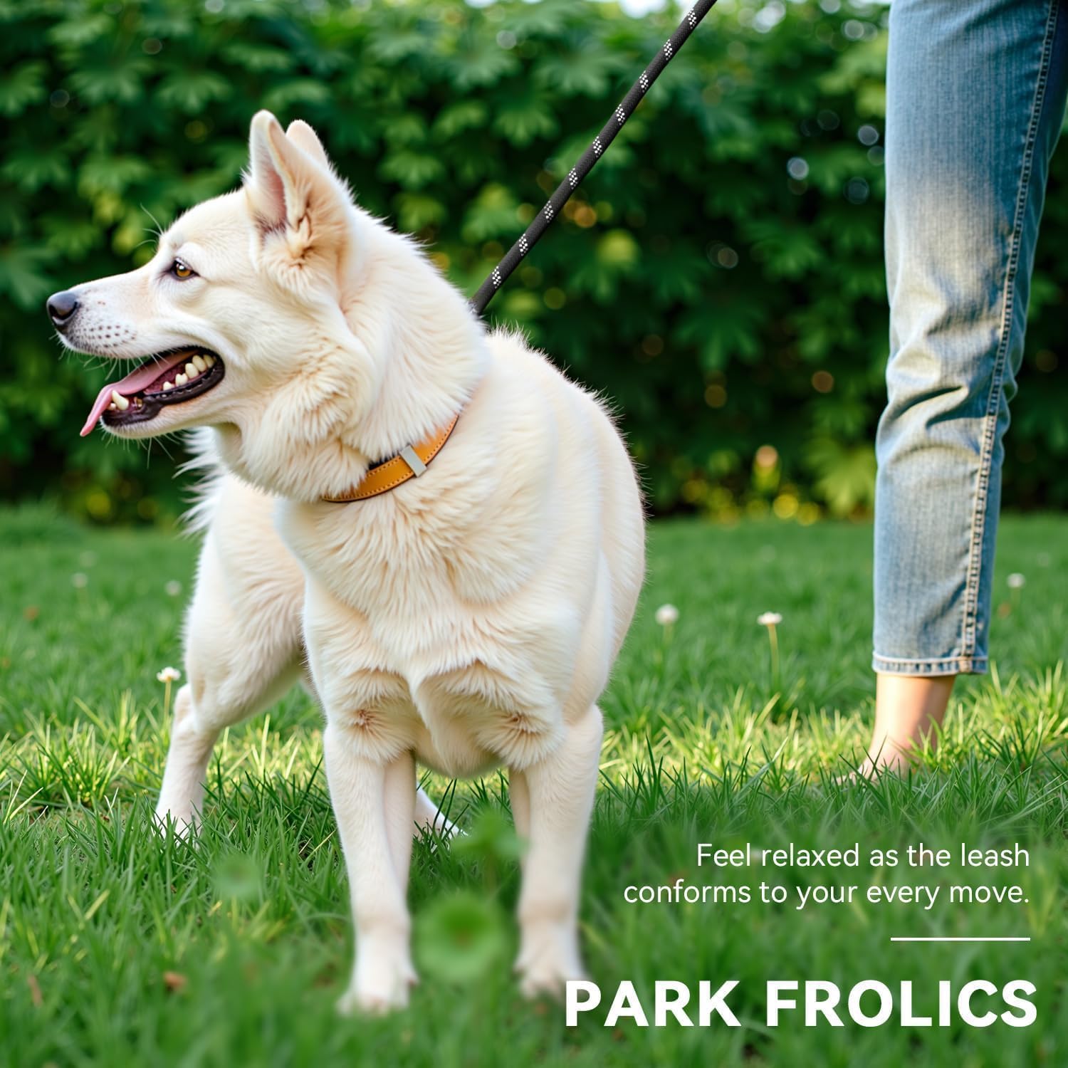 PETCOOZ Guinzaglio Doppio per Cani, Guinzaglio per Cani 3M Regolabile con Fino Riflettente, Multifunzione e Resistente per Cani Piccoli, Medi e Grandi, Nero e Bianco