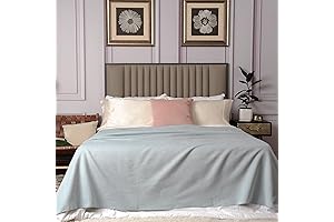 Get Your Snuggle Time On: Snuggle Dreams Soft Breathable Silk Fleece Blanket for Bed