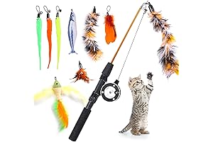 9 PCS Cat Fishing Pole Toy, Cat Feather Wand Toy Set