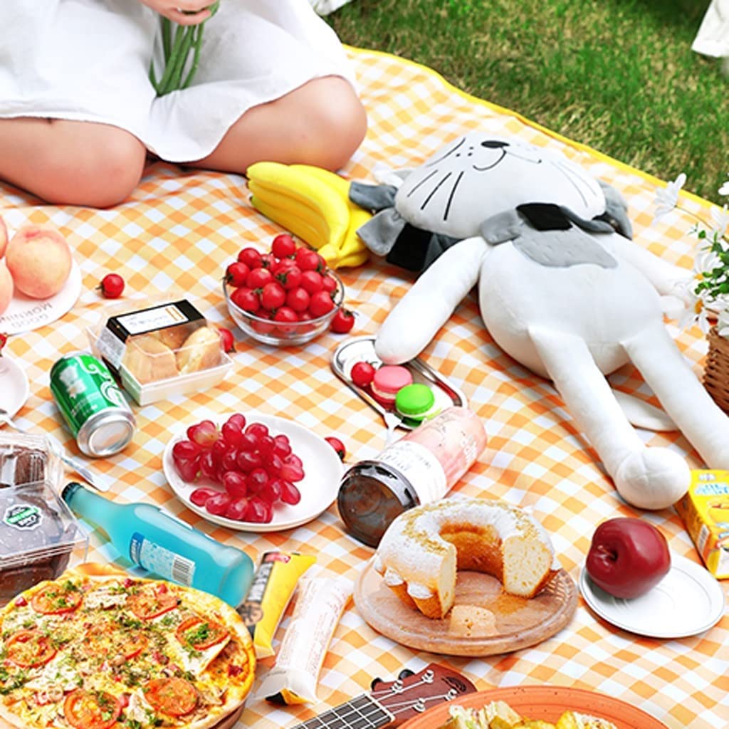 TOBILE Tappetino da Picnic Tappetino a Prova di umidità Tappetino Portatile for Esterni Tappetino Ispessito Prato Impermeabile Picnic Panno da Picnic Gita Gita Primaverile