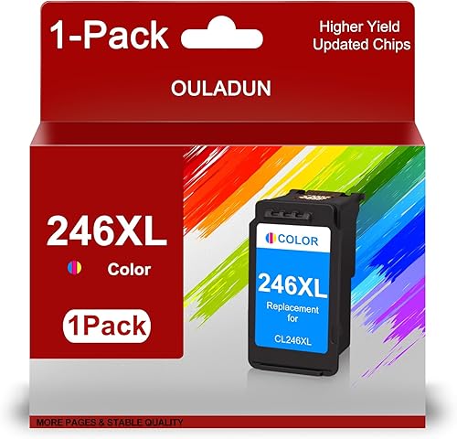 Cartucho de tinta 246XL de alto rendimiento de repuesto para Canon CL-246XL Cartucho de tinta de color 246XL 244XL compatible con impresora Pixma