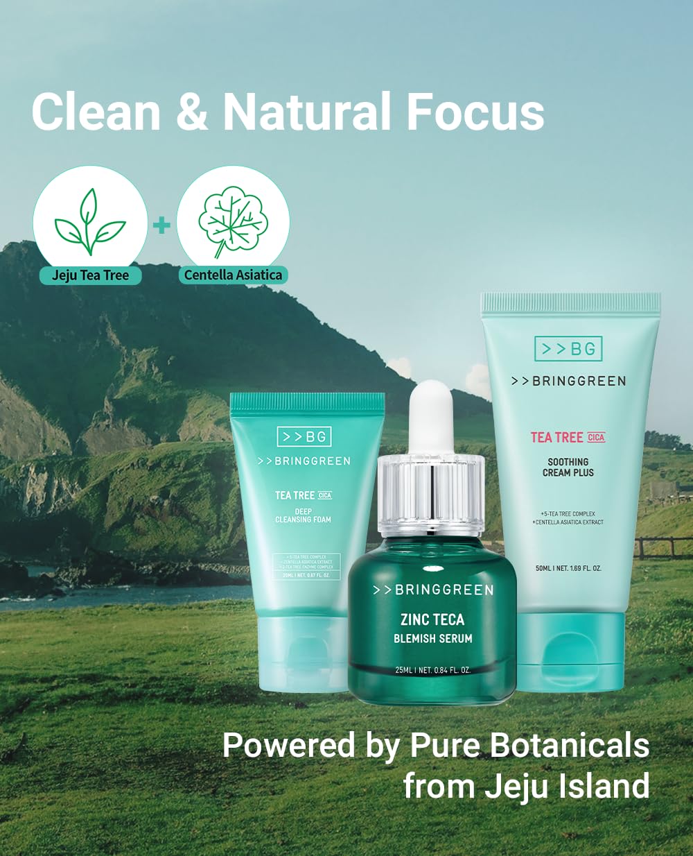 Amazon.com: BRING GREEN TEA TREE CICA SET | Korean Skin Care Kit