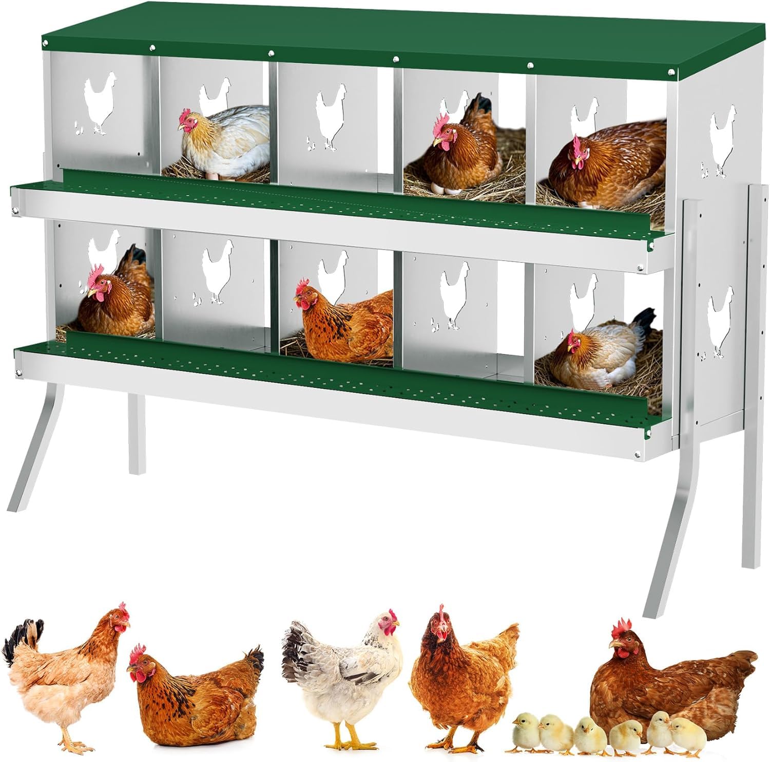 TrailBlaze 10 Compartment Chicken Nesting Box with Metal Legs, Chicken Egg Laying Boxes with Rollout Egg Collection, Large Vented Holes Chicken Coop
