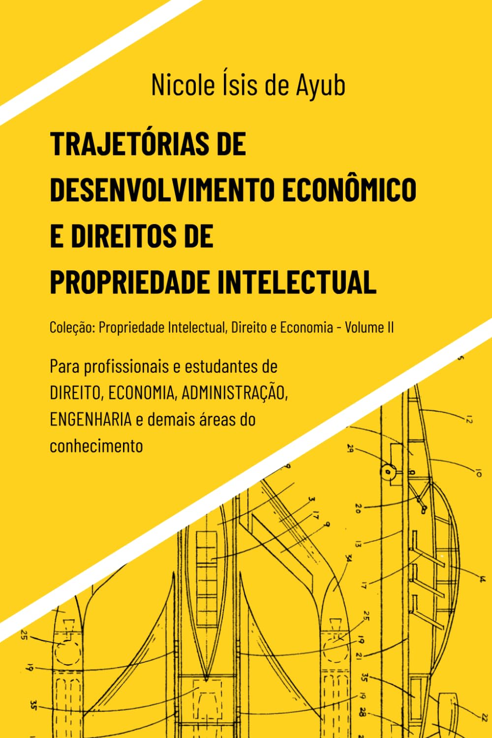 Trajetórias de Desenvolvimento Econômico e Direitos de Propriedade Intelectual (Propriedade Intelectual, Direito e Economia)
