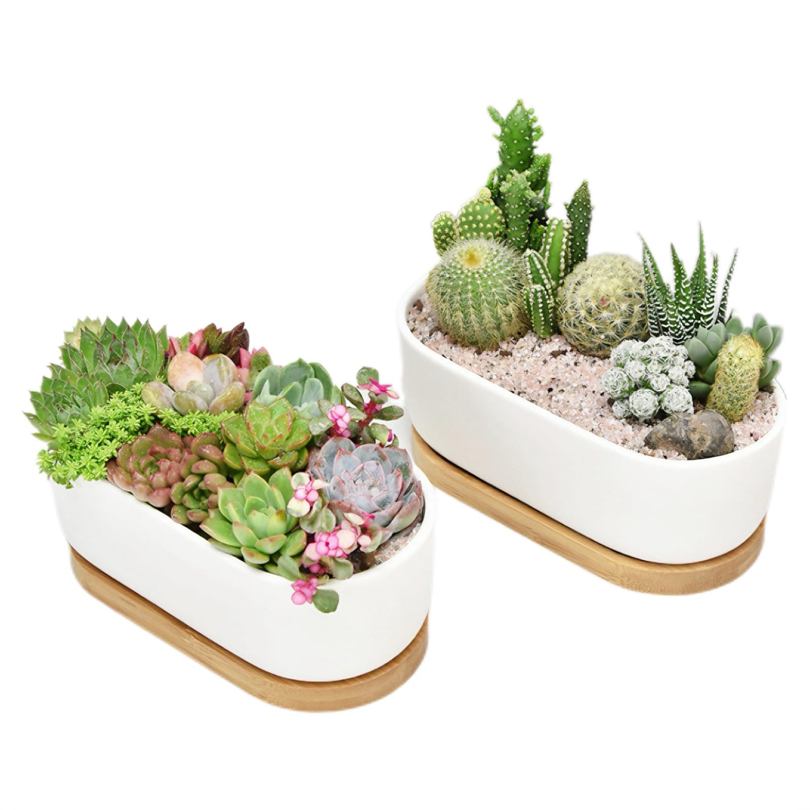 2Pcs White Ceramic Succulent Plant Pot, Cactus Pot With Bamboo Tray, Indoor Outdoor Cactus Pots, Oval Small Plant Pots for Office Hotel Home Decoration